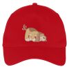 Five Panel Twill Cap Thumbnail