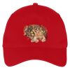 Five Panel Twill Cap Thumbnail