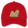 Five Panel Twill Cap Thumbnail
