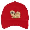Five Panel Twill Cap Thumbnail