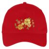 Five Panel Twill Cap Thumbnail