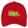 Five Panel Twill Cap Thumbnail