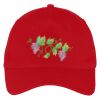 Five Panel Twill Cap Thumbnail