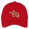 Five Panel Twill Cap Thumbnail