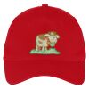 Five Panel Twill Cap Thumbnail