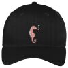 Easy Care Cap Thumbnail