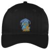 Easy Care Cap Thumbnail
