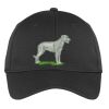 PosiCharge ® RacerMesh ® Cap Thumbnail