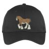 PosiCharge ® RacerMesh ® Cap Thumbnail