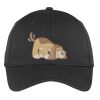 PosiCharge ® RacerMesh ® Cap Thumbnail