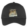PosiCharge ® RacerMesh ® Cap Thumbnail