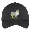 PosiCharge ® RacerMesh ® Cap Thumbnail