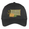 PosiCharge ® RacerMesh ® Cap Thumbnail